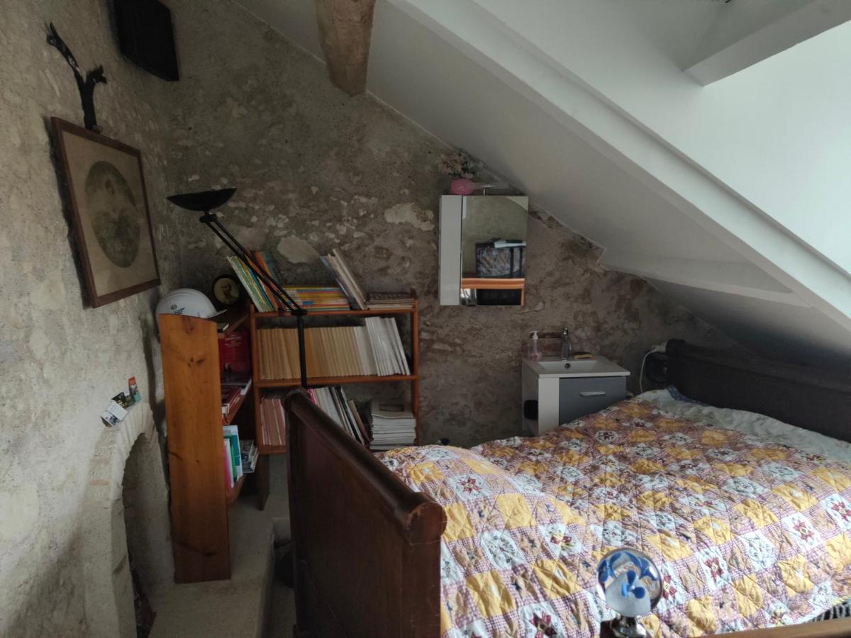 La Maison Bleue De Husseau Ancienne Ferme Semi-troglodytique 18e Siecle Holiday home *